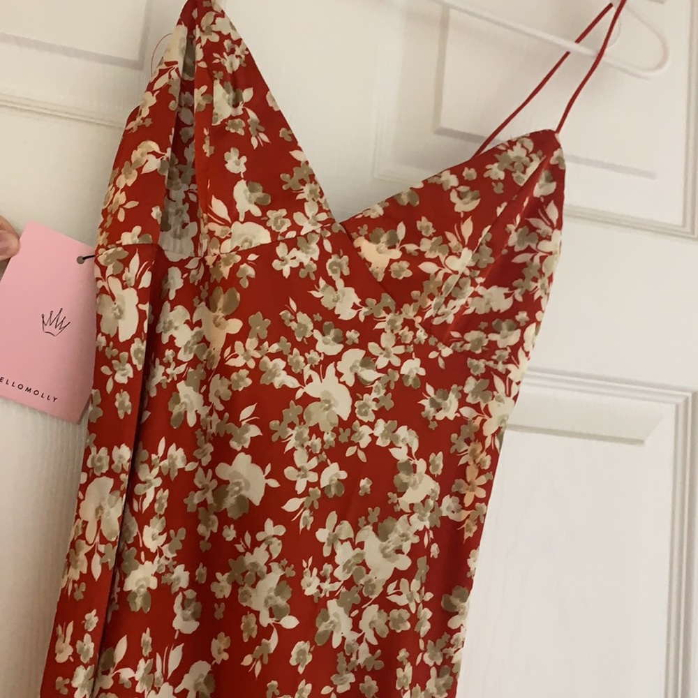 Hello Molly Red Floral Midi Dress - Picture 5 of 7